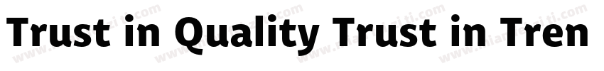 Trust in Quality Trust in Trend字体转换